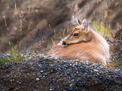 Surrounded By Beauty