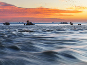 Catch the waves 