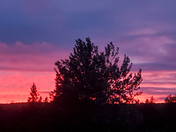 Evening sunset 
