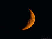 Orange Waxing Crescent Moon