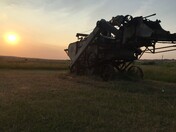 Sunset Sentimental 