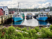 The Flotilla 
