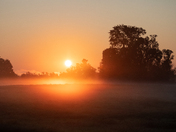 Foggy Sunrise