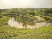 "Horseshoe Bend" on Seven Bridges Road