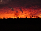 Fire Sky