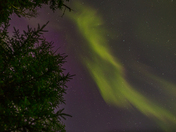 Quetico's Dancing Sky