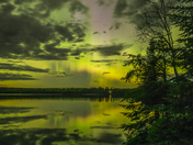 Nature's Splendour