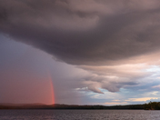 Rainbow, Cedar Lake, Algonquin Park