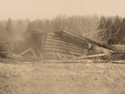 Almonte Farm, 2015