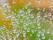 After the rain