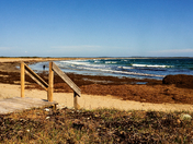 Footprints in the Sand