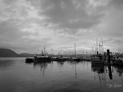 Black and white photo of a fishing marina