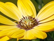 Getting in the Picture