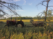 it is time do cut grass 