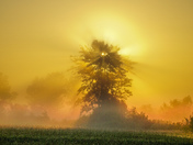 Autumn light