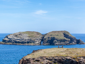 elliston, newfoundland