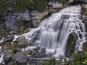 Go Where the Blessings Flow