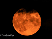 New Moon