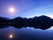 Reflect