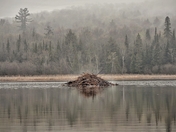 The Lodge 