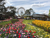When Does Flowering Start Outdoor
