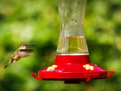 Looking in the Mirror