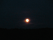 In the black of the night 