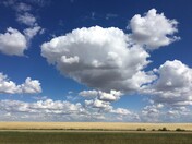 Prairie Scape 