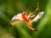 A close encounter of the third kind 