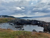 Newfoundland beauty