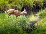 Judging the Distance