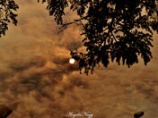 Morning reflection