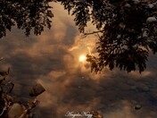 Morning reflection