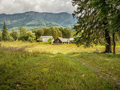 The Old Homestead