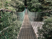 Suspension Bridge at Sombrio 