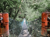 Suspension Bridge at Sombrio 
