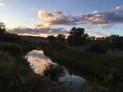 Frenchman River Reflections