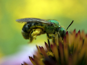 Digging in to get to the Good Stuff