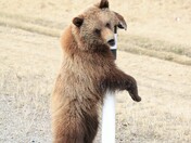 Rough day at the office 