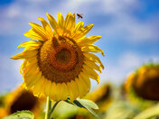 Here's winking at you