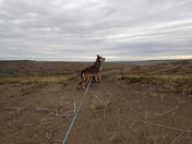 Surveying the Landscape