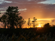 Sunset along the marsh