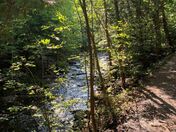 What a Beautiful Walking Trail