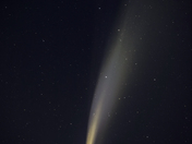 Comet  Neowise 2020