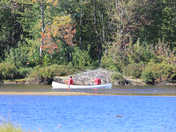 Last of the summer dayes 