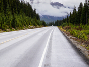 Chasing the white line 