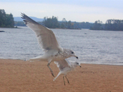 shapes and lines movement depth  