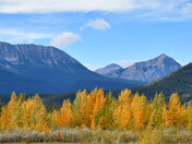 Jasper in the season