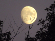 There's a bad moon on the rise 