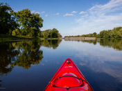 Reflections of Petrie Island